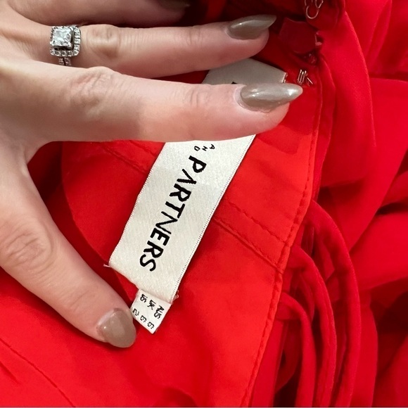 Fame and Partners High Neck Chiffon Maxi Dress - Picture 12 of 12